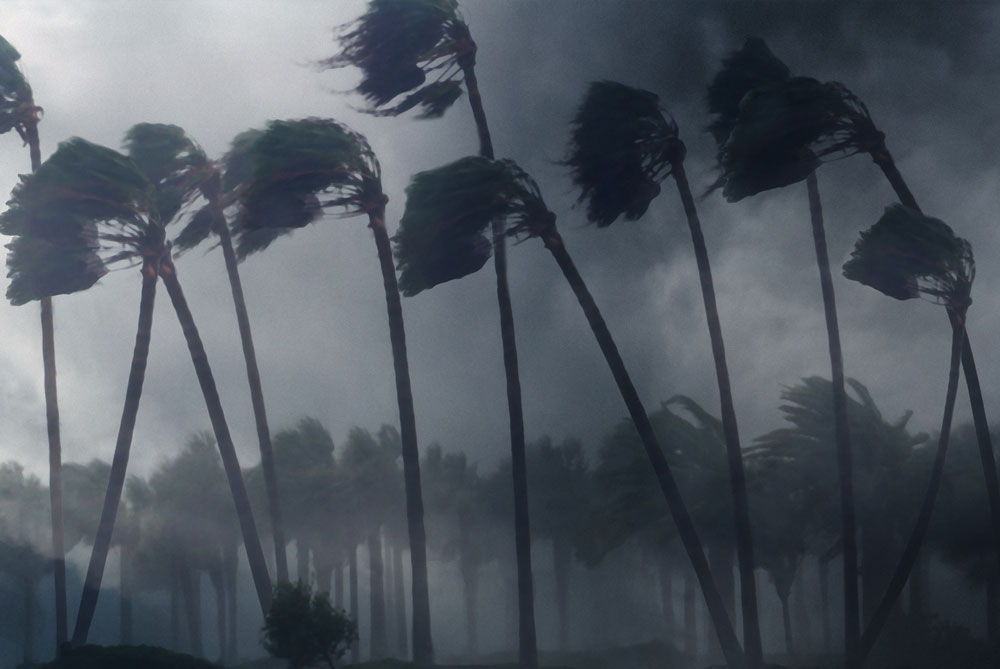 Helpful Huricane Survival Information