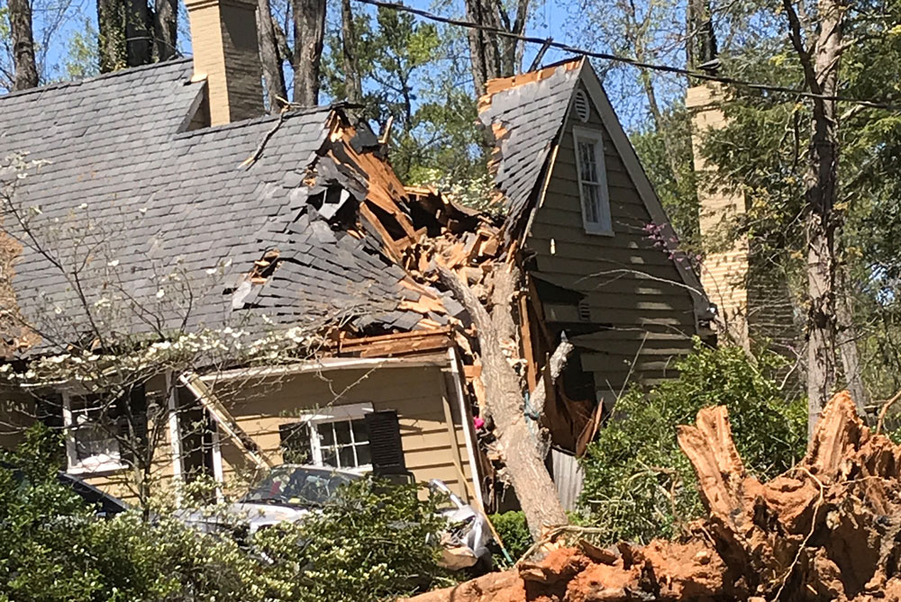 Shelter Preparation Survival Information
